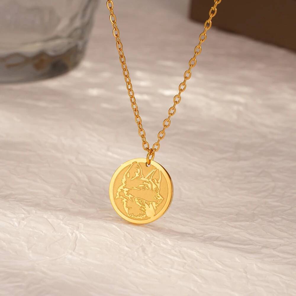 Stainless Steel Fashion Delica - Coin Necklace Delicate 리뷰 및 가격