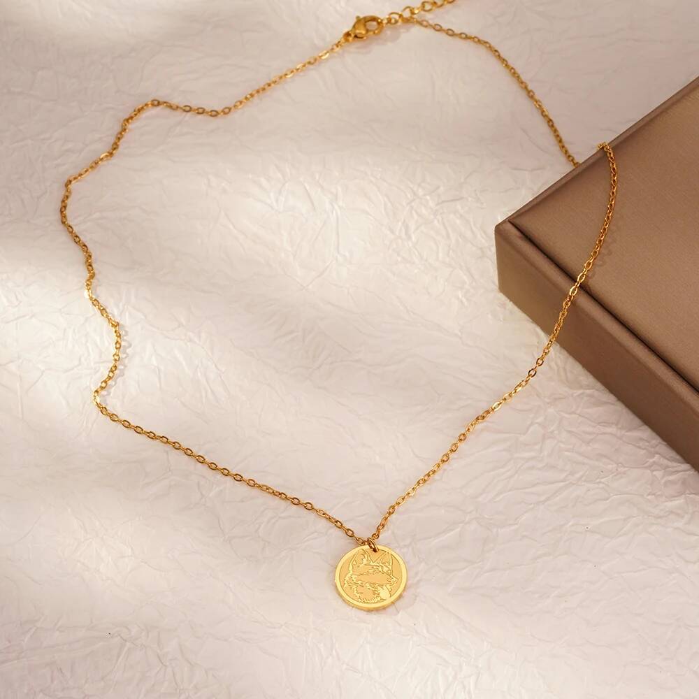 Stainless Steel Fashion Delica - Coin Necklace Delicate 리뷰 및 가격