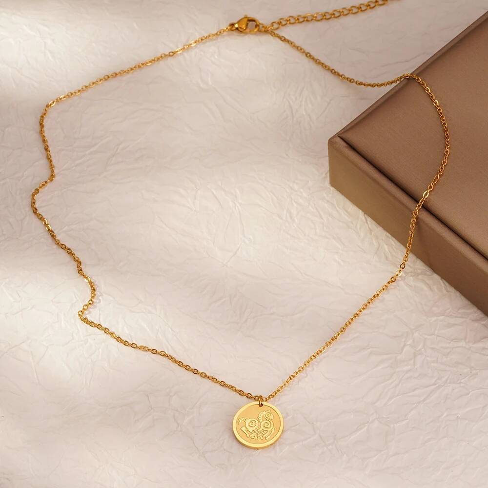 Stainless Steel Fashion Women  - Coin Necklace Delicate 리뷰 및 가격